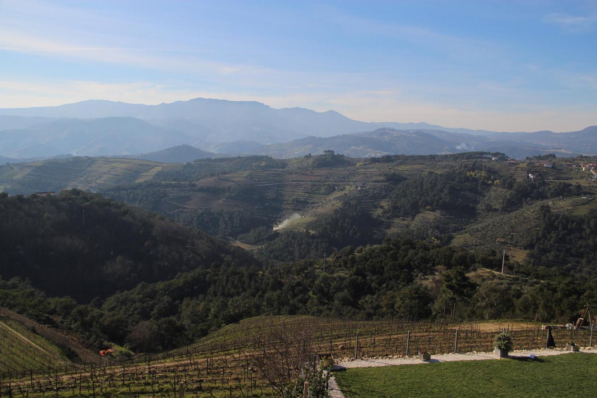 Quinta Da Corujeira Βίλα Vila Real Εξωτερικό φωτογραφία